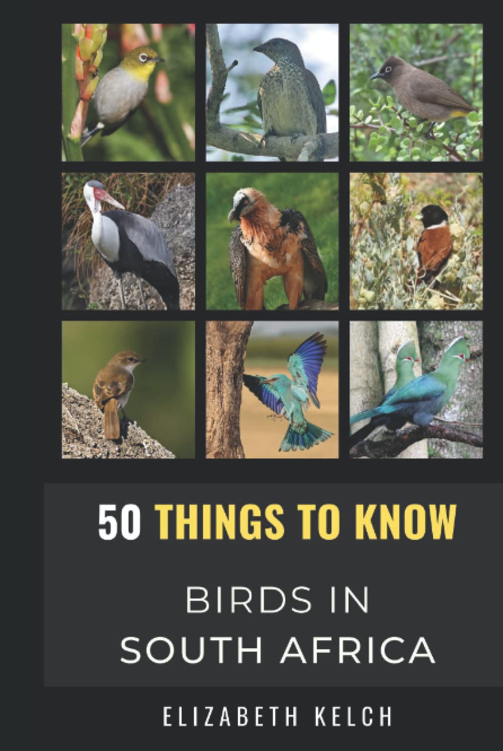 50 Things to Know About Birds in South Africa: Beginners Guide to Birding in South Africa (50 Things to Know About Birds and Birdwatching: ... identification tips, and regional bird books)