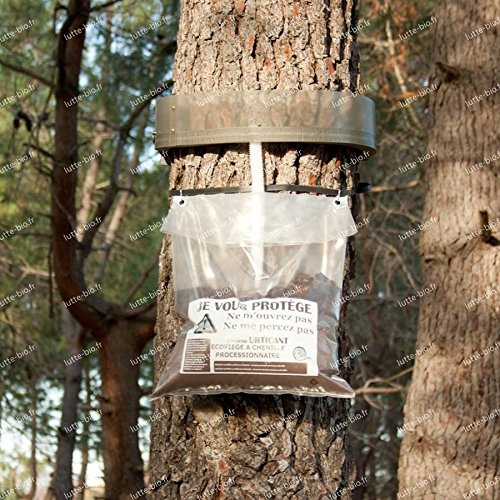 Ecopiège Biotop à chenille processionnaire du pin 105cm