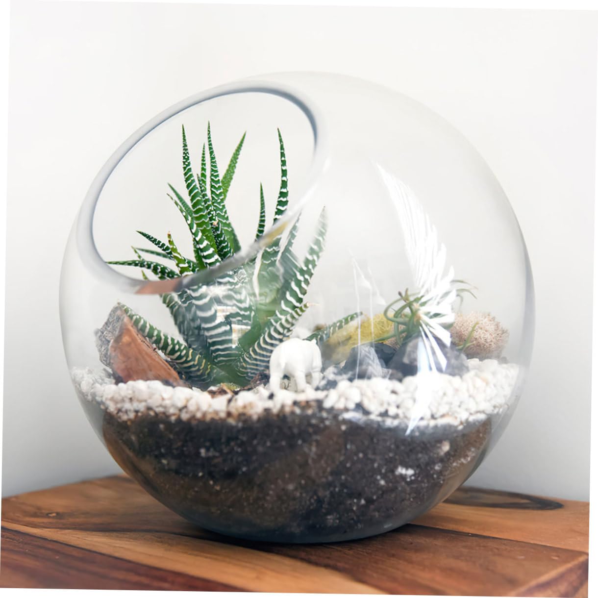 Lurrose Set da 3 Terrari in Vetro Trasparente 10-13,5 Cm per Piante Succulente da Tavolo, Bottiglie Ecologiche per Micro Paesaggi Fai da Te, Fioriere Compatte per Decorazioni Casa,