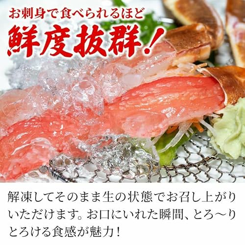 大五うなぎ工房 生食可 カット済み 生 ズワイガニ 700g セット の商品画像 5