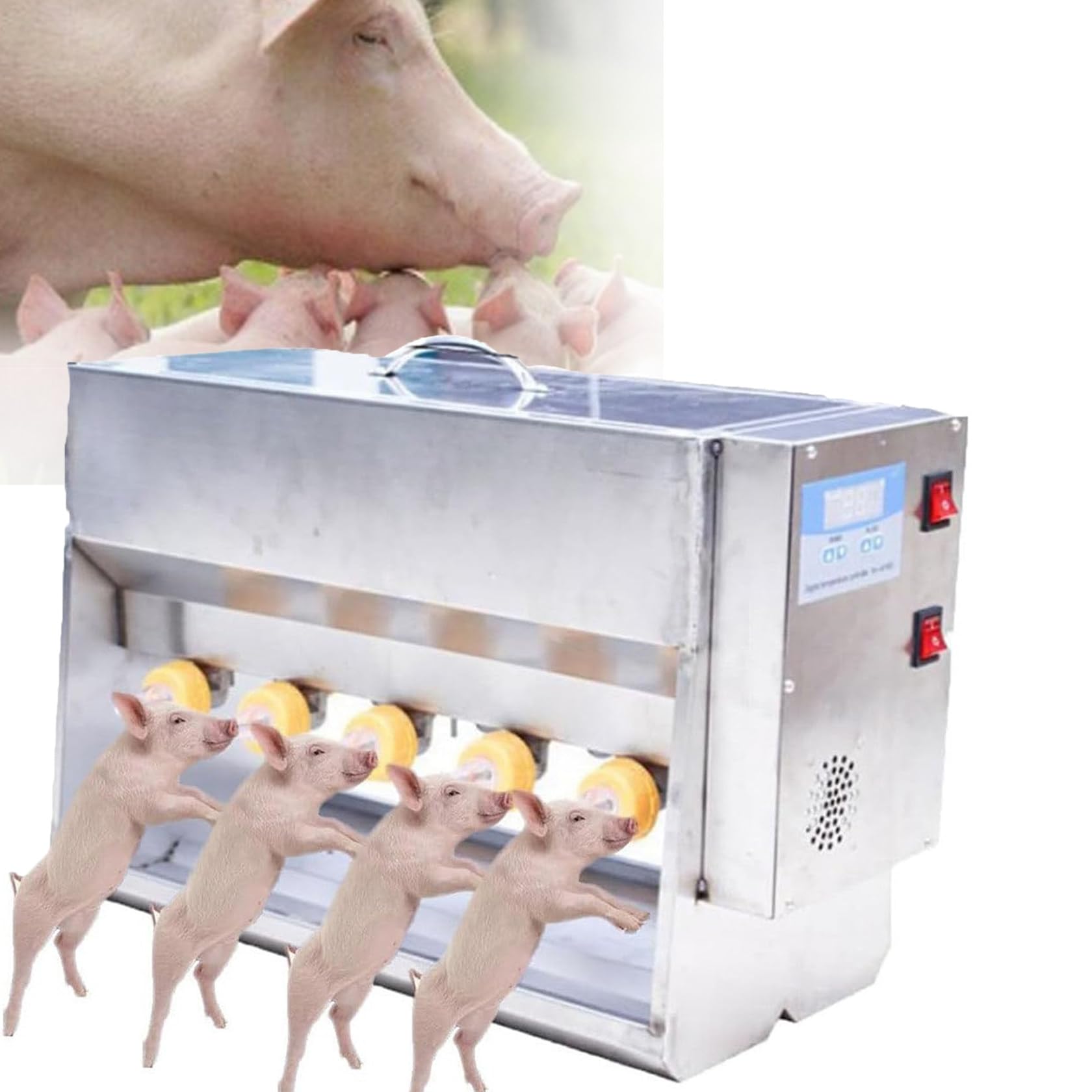Distributeur automatique de lait pour bétail contre la diarrhée des porcelets