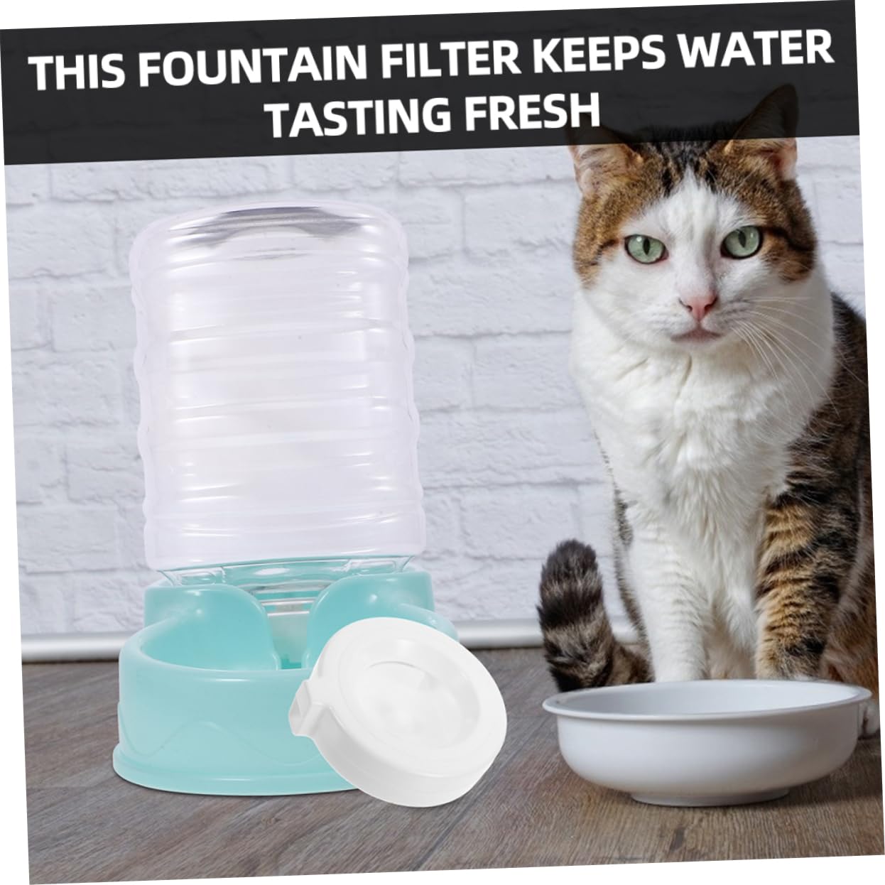 Levemolo 8stücke Ersatzfilter Für Haustier-wasserbrunnen Aktivkohlefilter Für Katzenbrunnen Langlebige Filtration Für Sauberes Trinkwasser Passend Für Schalen