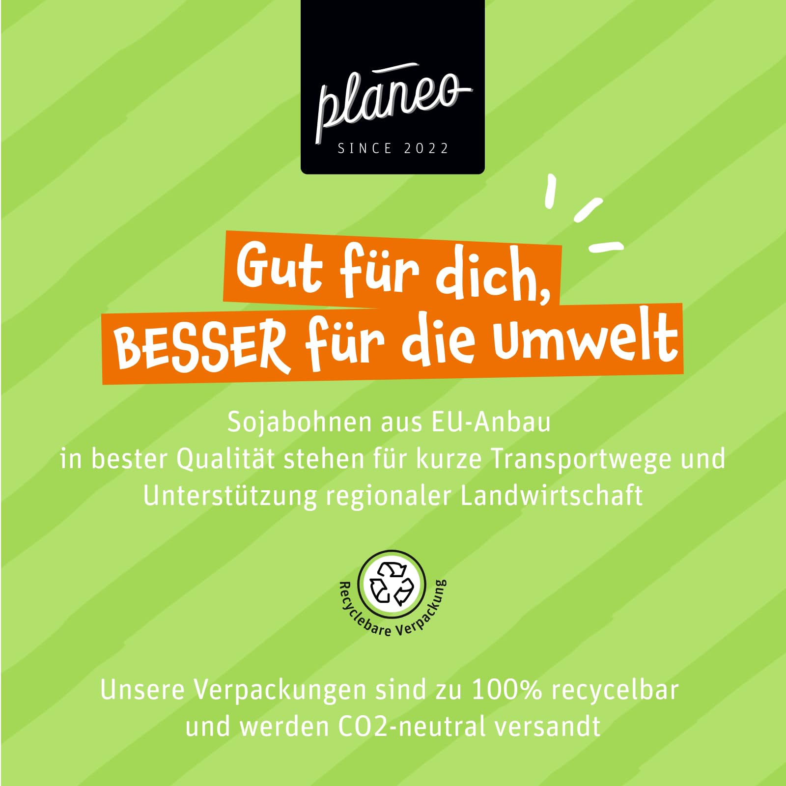 Planeo Tempeh Geräuchert 6x200g - Beste Qualität - Lange, ungekühlt haltbar - mild geräuchert - Soja aus der EU - Planeo (6 x 200g)