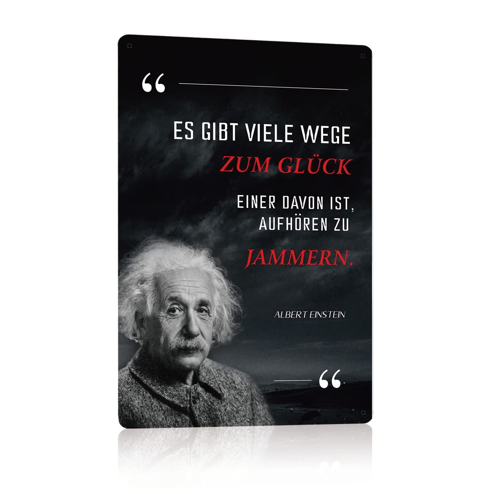 Retro Blechschild Albert Einstein - Witziger Spruch, 20x30 Cm, Metall, Geschenk Zur Dekoration