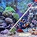 Totority Coral Feeder for Fish Acrylic Tool Efficient for Aquariums and Coral Species Easy for Tanks