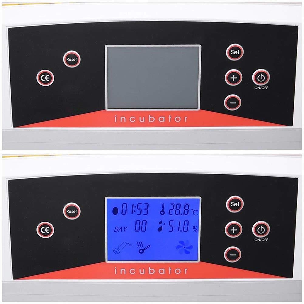 Incubateur Oeufs 9 Œufs F Fityle - Couveuse Électrique LED Contrôle Température Lit D'Eau Pour Poules Canards Oiseaux