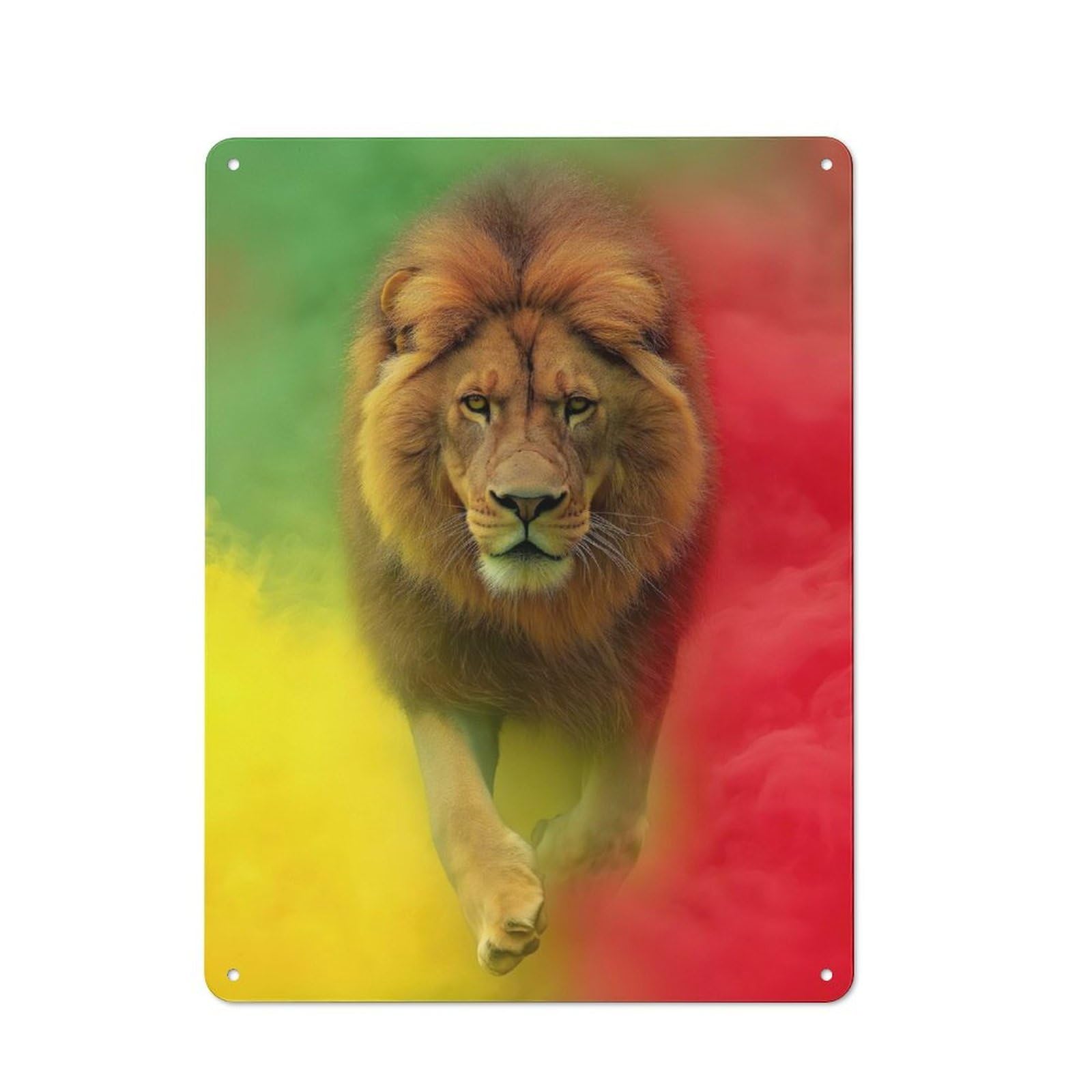 Junmoney Rasta Lion Vintage Metal Wall Sign 40X30cm For Garage Or Workshop, For Metal Sign Collectors, For Garage And Workshop Walls