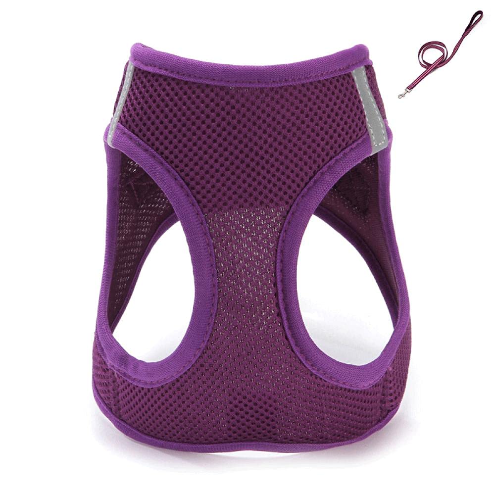 Con guinzaglio viola for cani e gatti, imbracatura regolabile, guinzaglio for passeggiate, guinzaglio for cuccioli, collare e imbracatura,Pettorina per cani(XS)