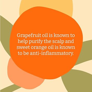 Faith In Nature Natural Grapefruit & Orange Conditioner, Purifying for Oily Hair & Scalp, Vegan & Cruelty Free, No SLS, Silicones or Parabens, 400ml