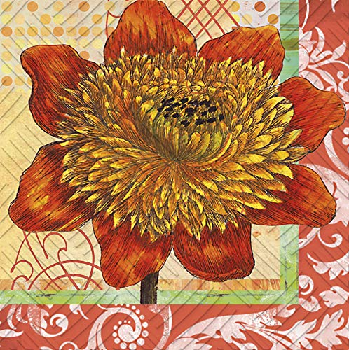 Splendid Posy Paper Cocktail Napkin, Set Of 20-5 X 1 X 5 Inches #TOP23
