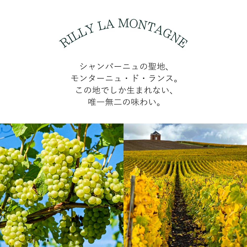 Amazon.co.jp: ル・レーヴ・ブリヤン ブラン・ド・ノワール Le Reve