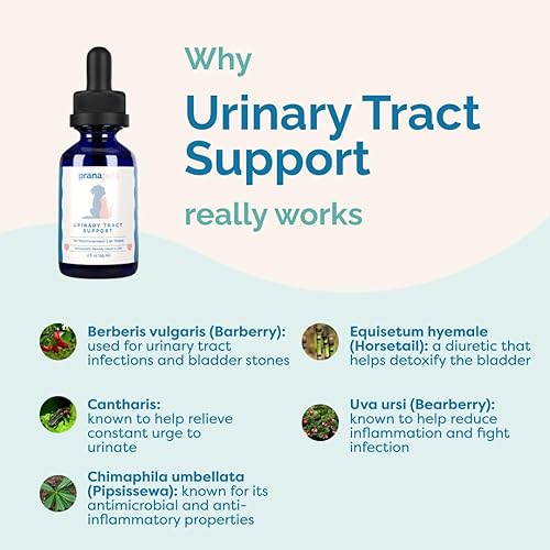 Miniatura 4 de PranaPets Suplemento líquido de apoyo del tracto urinario para mascotas | Suplemento urinario para perros y gatos | Soporte natural de vejiga para