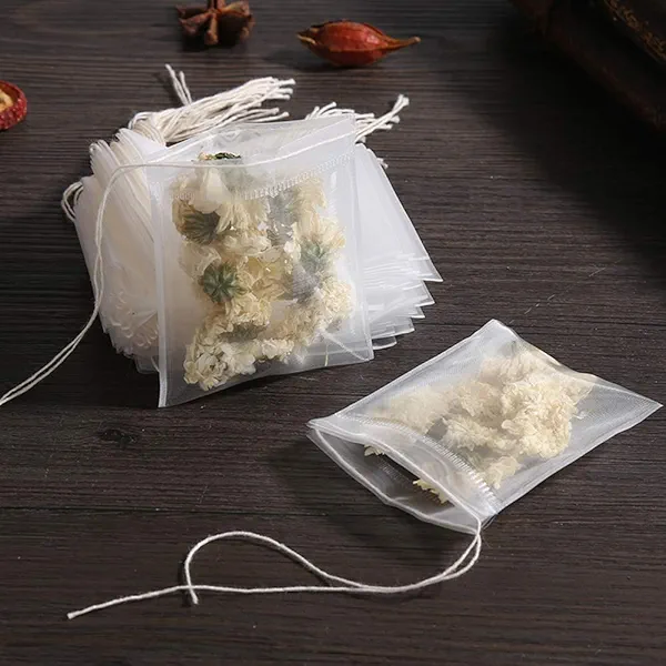 Insiswiner 50 Pcs Tea Filter Bags Disposable Tea Bags for Loose Tea Herb Spice Empty Mesh Small Drawstring Seal Infuser Strainer Bags Bath Tea Bags (2.36x2.75inch)