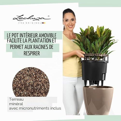 Lechuza Self Watering Plant Pot CLASSICO 43 LS Garden Flower Indoor and Outdoor Plastic Planter with Drainage Hole D43 H40 cm Charcoal Metallic - 4