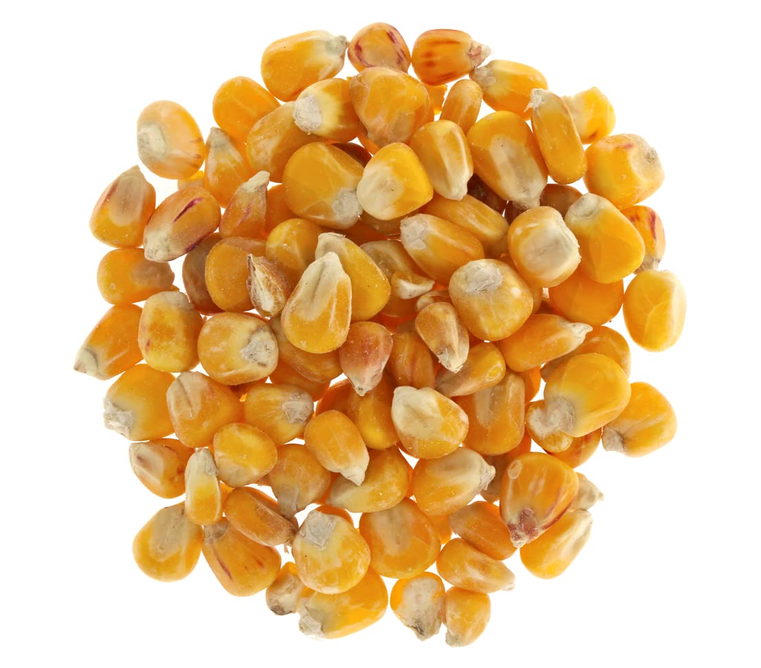 Dehner Nourriture pour Poulets et rongeurs, maïs Grains, 4 x 2,5 kg (10 kg)