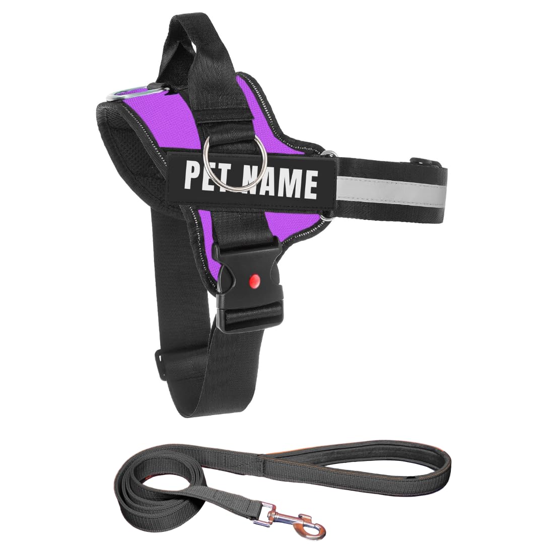 KIKA Pets Personalized Dog Harness | Dog Harness with Name | Customized Dog Vest Harness, Extra Small Size (for Below 5 kgs Dogs) Purple Harness with Padded Leash (B0CY5G5NGW) Amazon Price History, Amazon Price Tracker