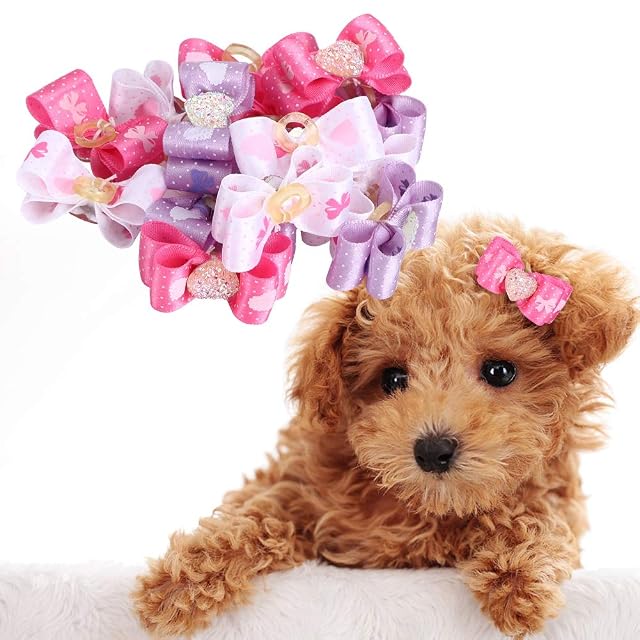 Foto 2 de 8 de Set de 15 Pajaritas para Mascotas