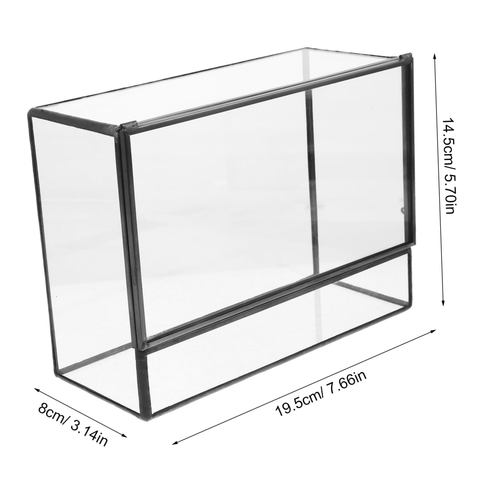 Terrario in Vetro Geometrico per Piante, Contenitore Decorativo