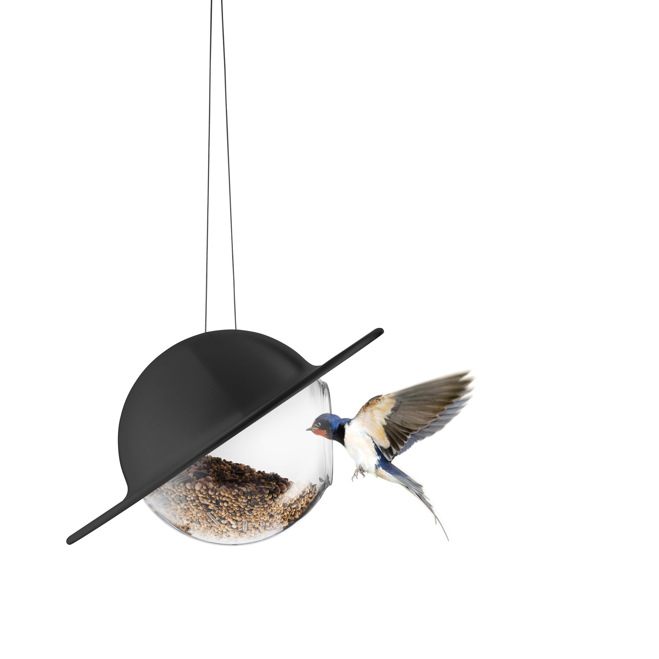 Amazon.com : EVA SOLO | Saturn Bird Feeder Black | Feeder with