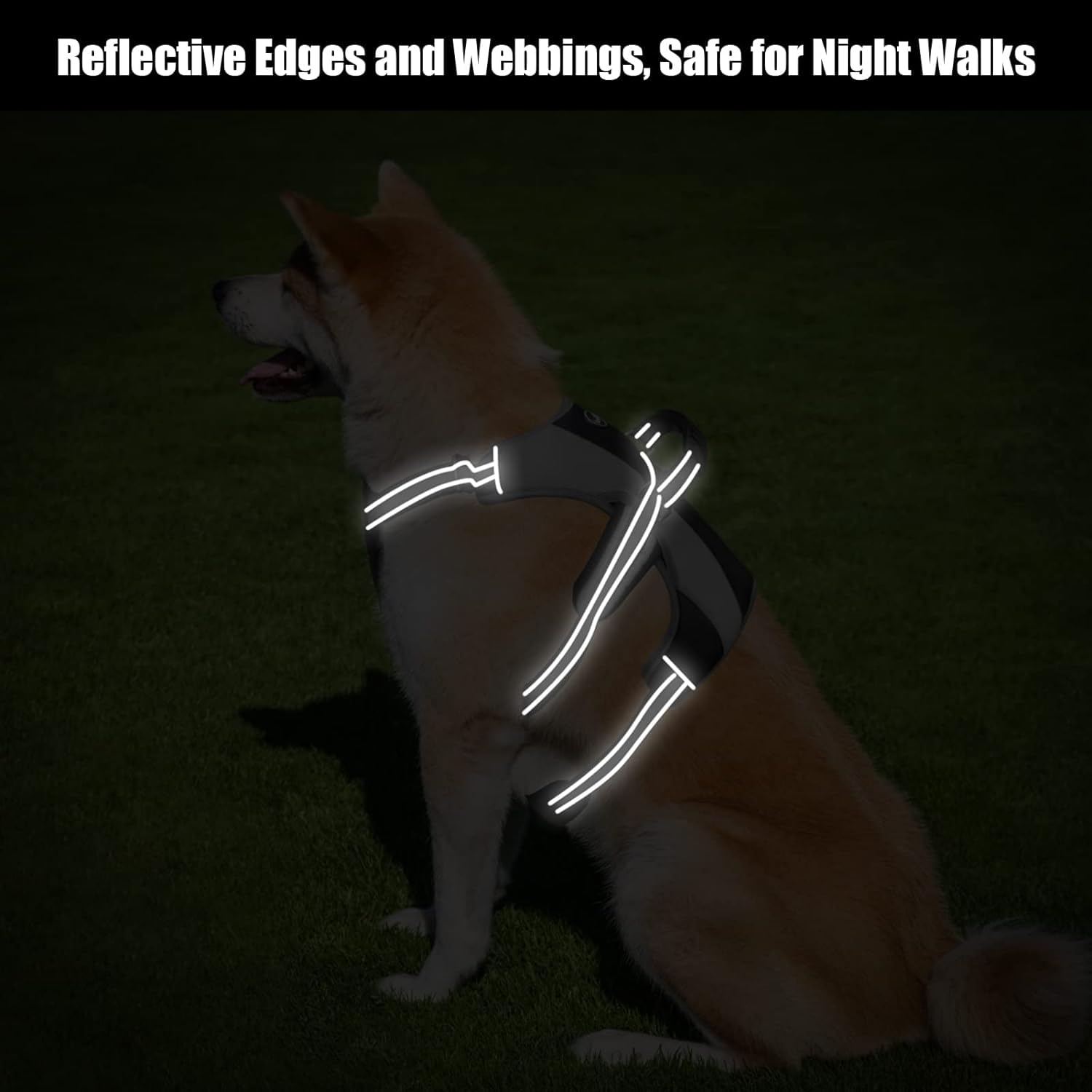 Amazon.com : Mihachi Escape Proof Dog Harness - No Pull Reflective  