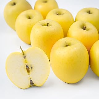 先行予約 りんご シナノゴールド 5kg (10~20個程度) 秀品 2026年産 sb-risgx5