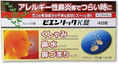 【指定第2類医薬品】ビエンリックK錠 48錠