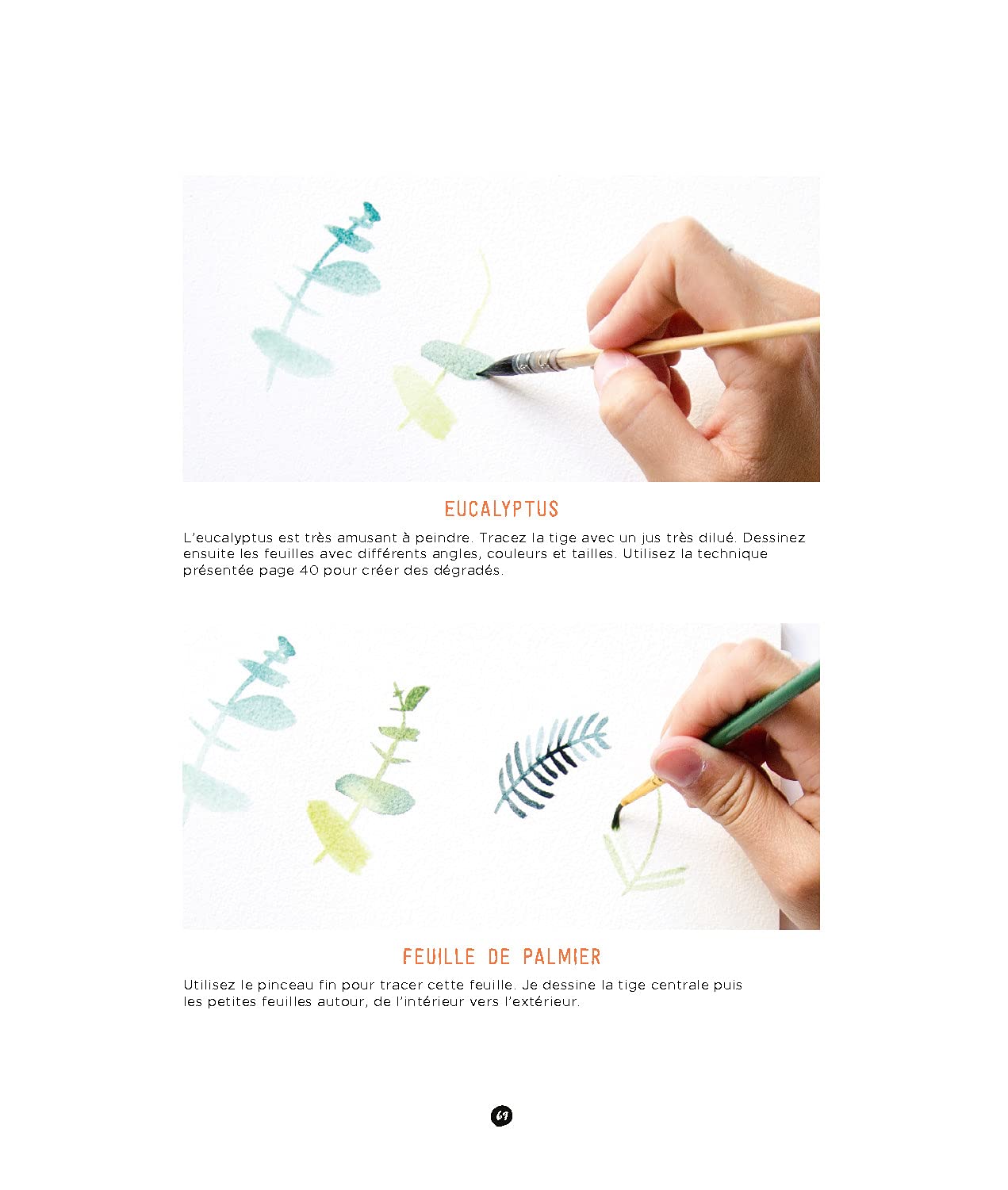 Fleurs à l'aquarelle, une initiation