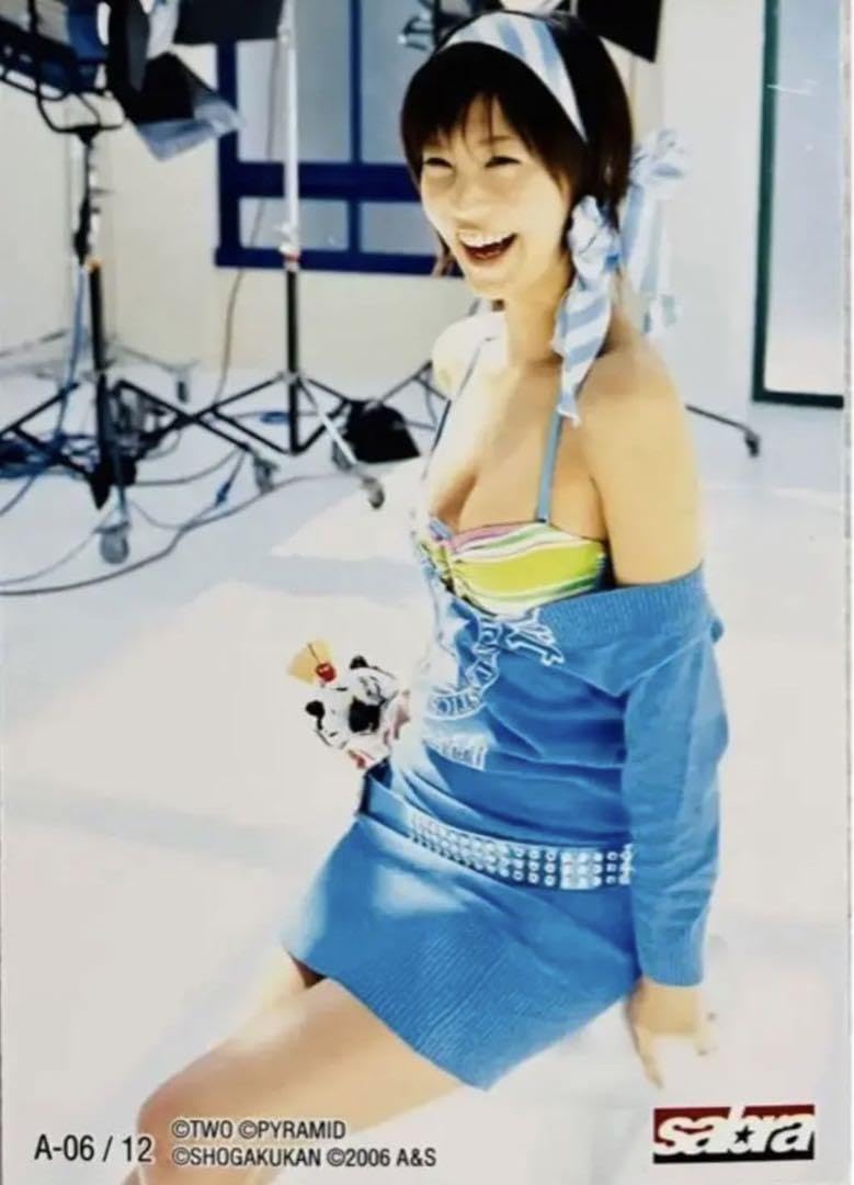 安田美沙子 商品一覧 | さくら堂2004安田美沙子SP込みコンプリートと
