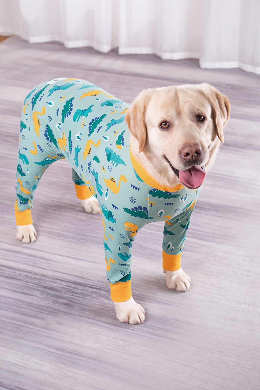 Honden