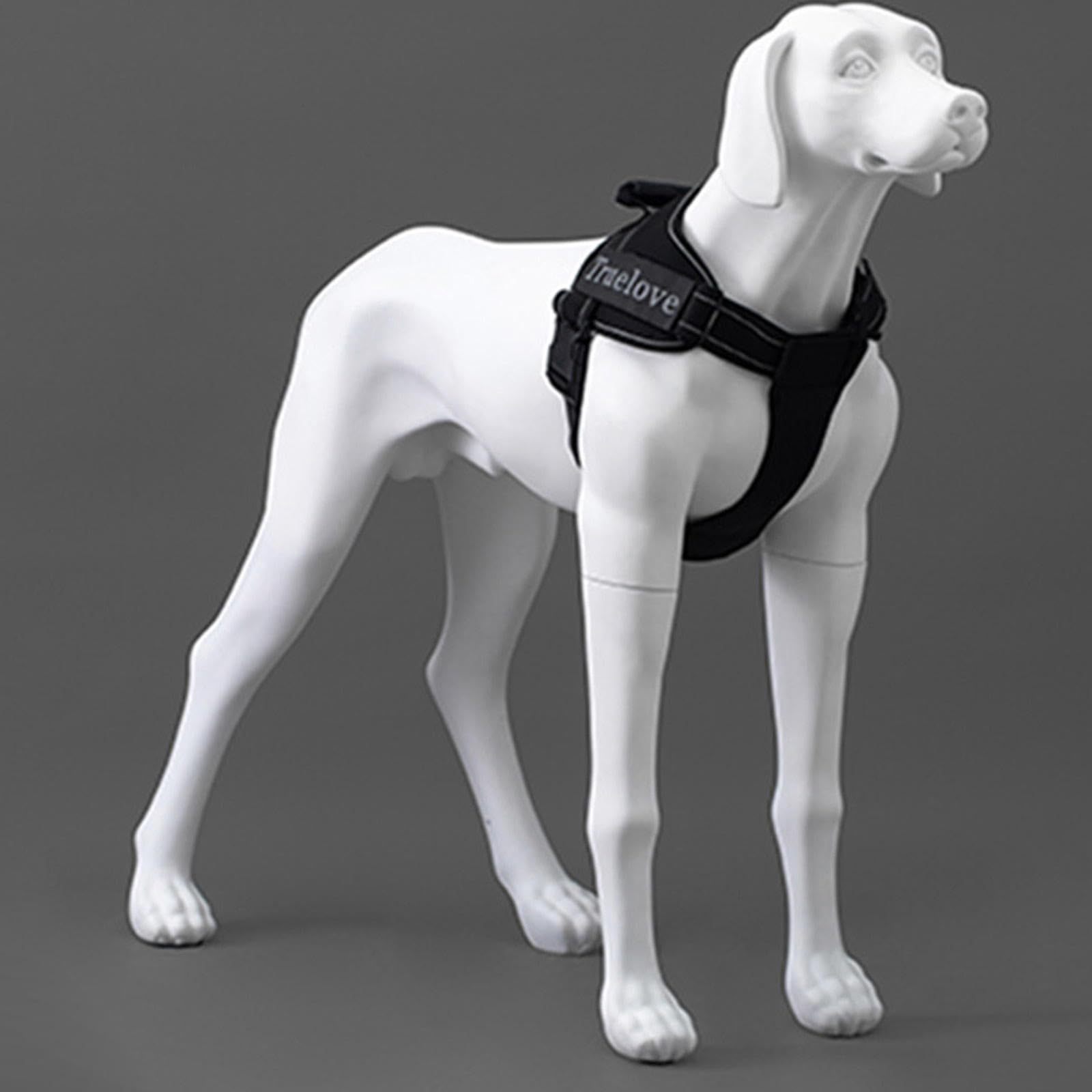 Modello di Visualizzazione di Abbigliamento per Animali Domestici, Manichino per Cani, Materiale FRP, Modello di Visualizzazione Multifunzionale Bianco Staccabile per Cani di Grandi