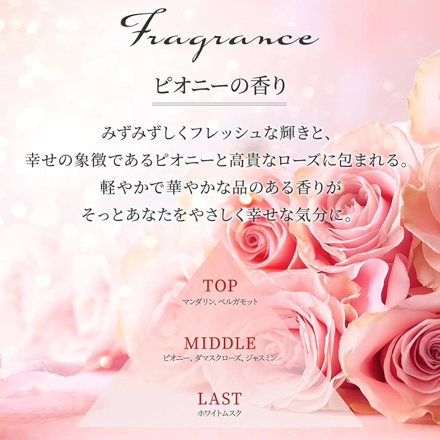 Feiiteeフェイーティーシャンプー 460mL 詰替用 ×12個入 Feiiteeフェイーティーシャンプー 460mL 詰替用 ×12個入