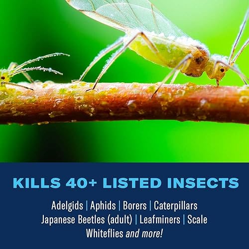 Miniatura 2 de BioAdvanced - Fertilizante y protector de arbustos y árboles