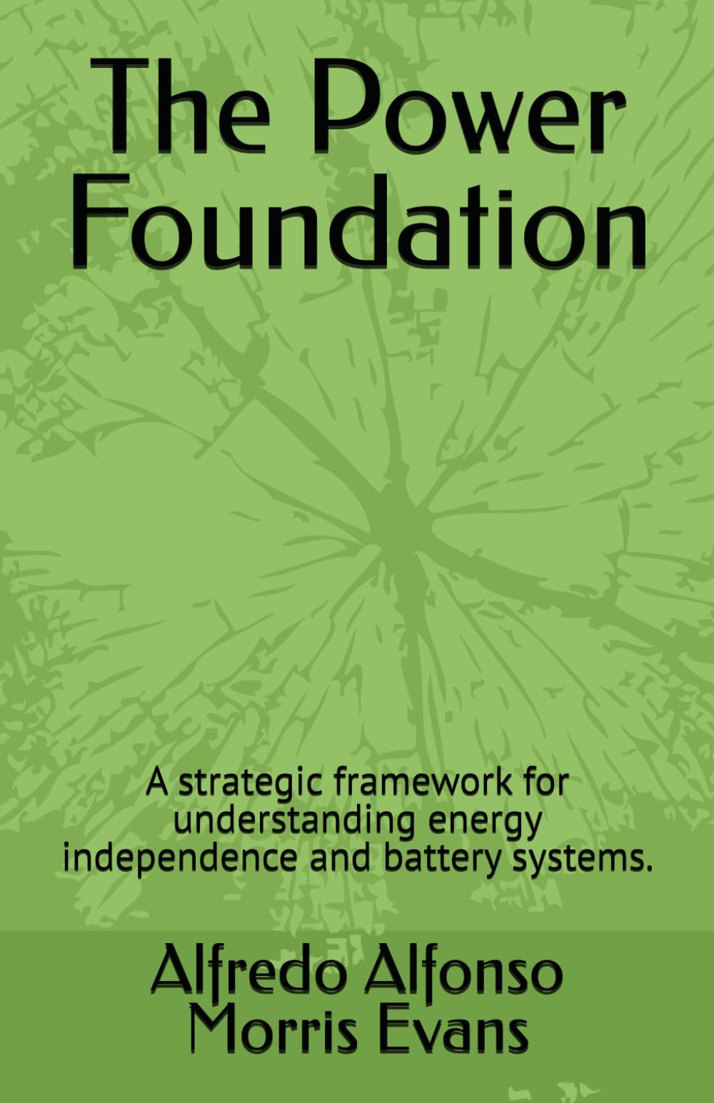 The Power Foundation: A strategic framework for understanding energy independence and battery systems. (The Energy Island Series)