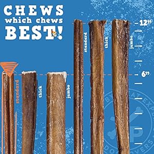   JackPup-6-inch-Odor-Free-Bully-Sticks-Dog-Treats-Single-Ingredient-All-Natural-Dog-Treat-Chews-Long-Lasting-Bully-Sticks-for-Medium-Dogs-25-Pack