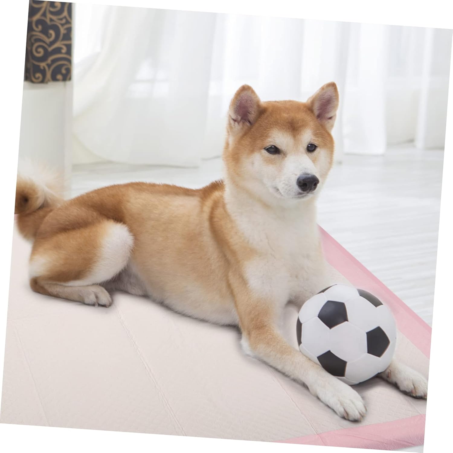 Super Absorbent Pee Pads for Dogs Cats Durable Potty Pads for Training Puppies Kittens and Pets Stylish Design Pack Leak and Easy to Use