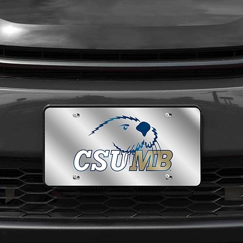 Miniatura 16 de Rico Industries Placa de matrícula de metal con incrustaciones láser de Florida Gators de la NCAA plateado,Alternativo,Negro -,Negro/Plata,Azul,azul