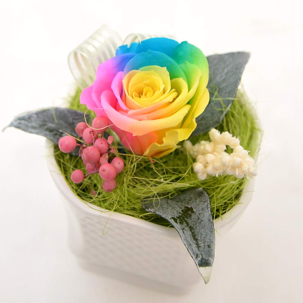 レインボーカラー プリザーブドフラワー アレンジメント レインボーフラワー | 優しい色のレインボーローズ・プリザーブド