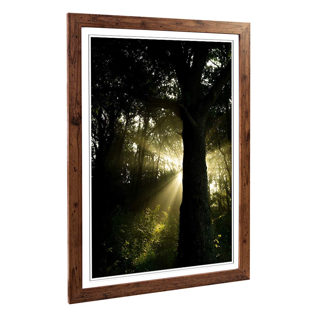 Big Box Art Framed Print of Ray of Sunshine in The Forest Woodland Design | Wall Art Picture | Home Decor for Kitchen, Living Room, Bedroom, Hallway, Walnut, A2 / 24.5x18 Inch / 62x45cm