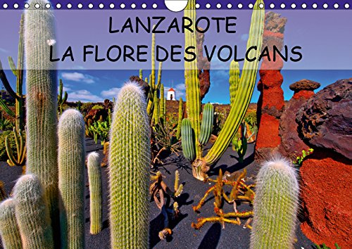LANZAROTE LA FLORE DES VOLCANS (Calendrier mural 2019 DIN A4 horizontal): LANZAROTE DES CHAMPS DE LAVE NATURELLEMENT FERTILES (Calendrier mensuel, 14 Pages )