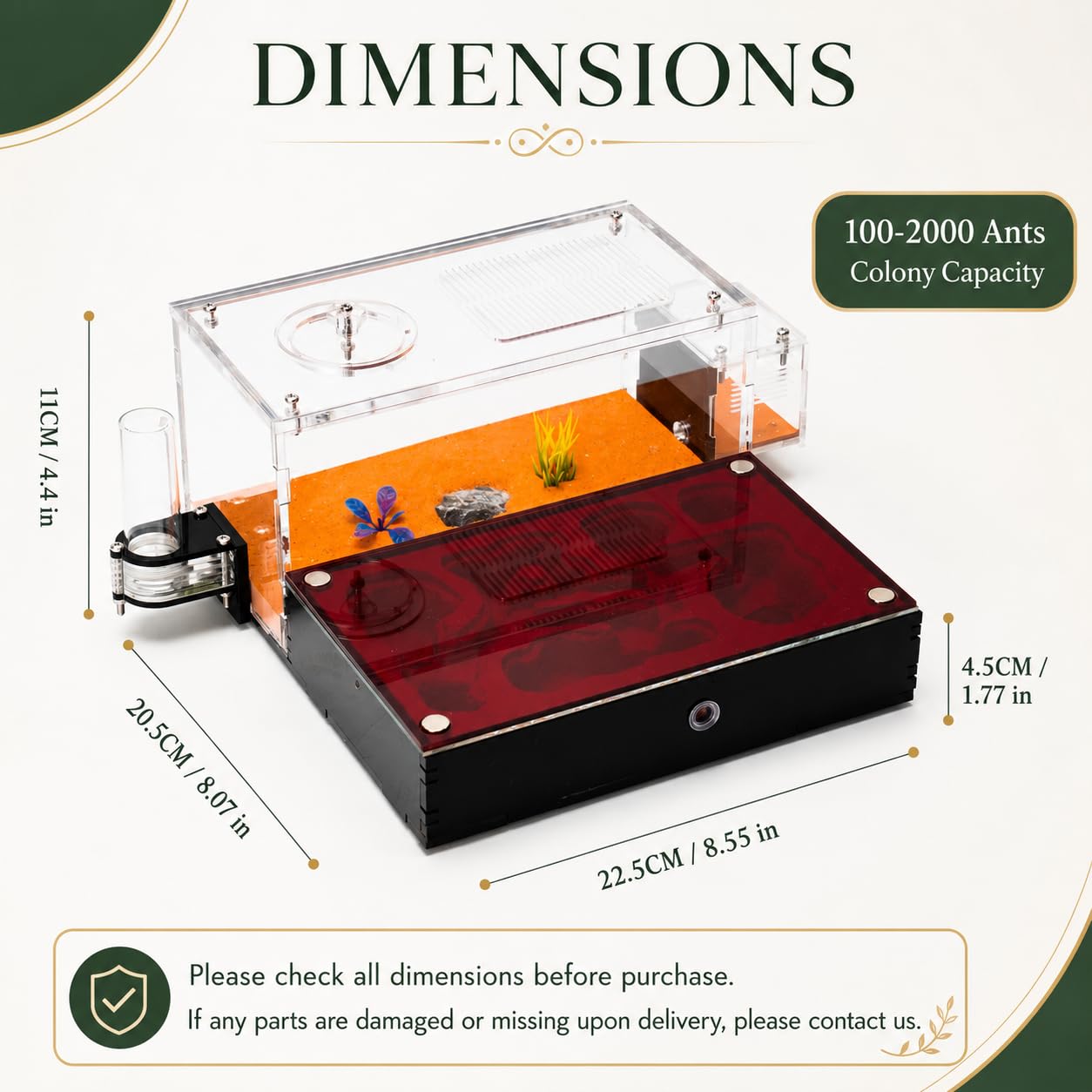 Formicarium pour fourmis vivantes et reines – Habitat transparent extra large pour adultes