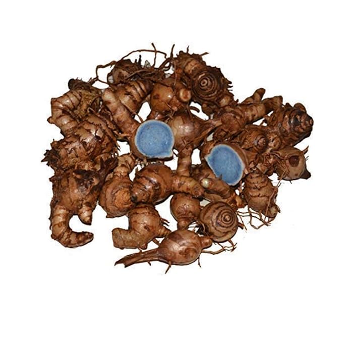 Buy Tantra Siddha Very Rare Fresh Kali Haldi Black Turmeric Curcuma Caesia Orginal 1kg Online at