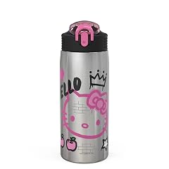 Zak Designs Sanrio Water Bottle for Travel and At Home 19 oz Vacuum Insulated Stainless Steel with Locking