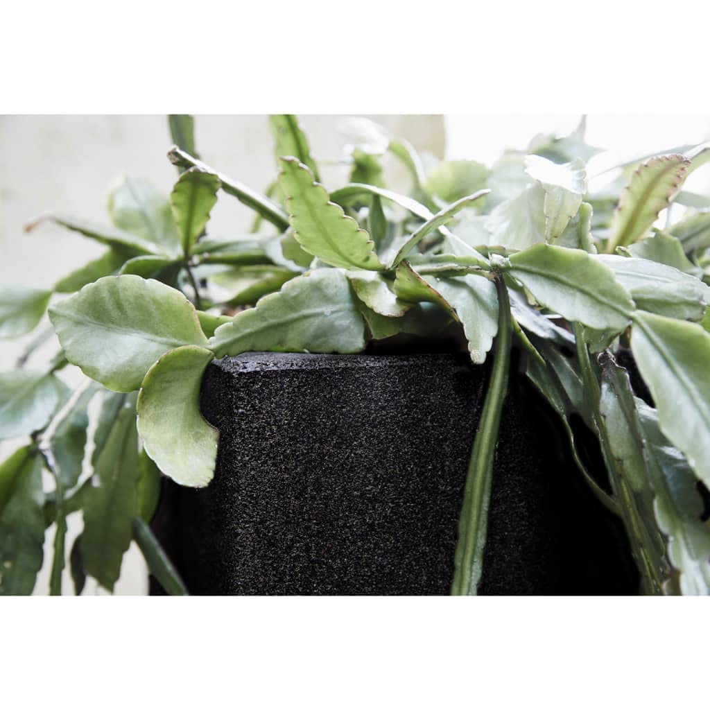 CAPI Pflanzgefäß Urban Smooth Square 40x40x40cm schwarz Blumentopf Korb Hochbeet
