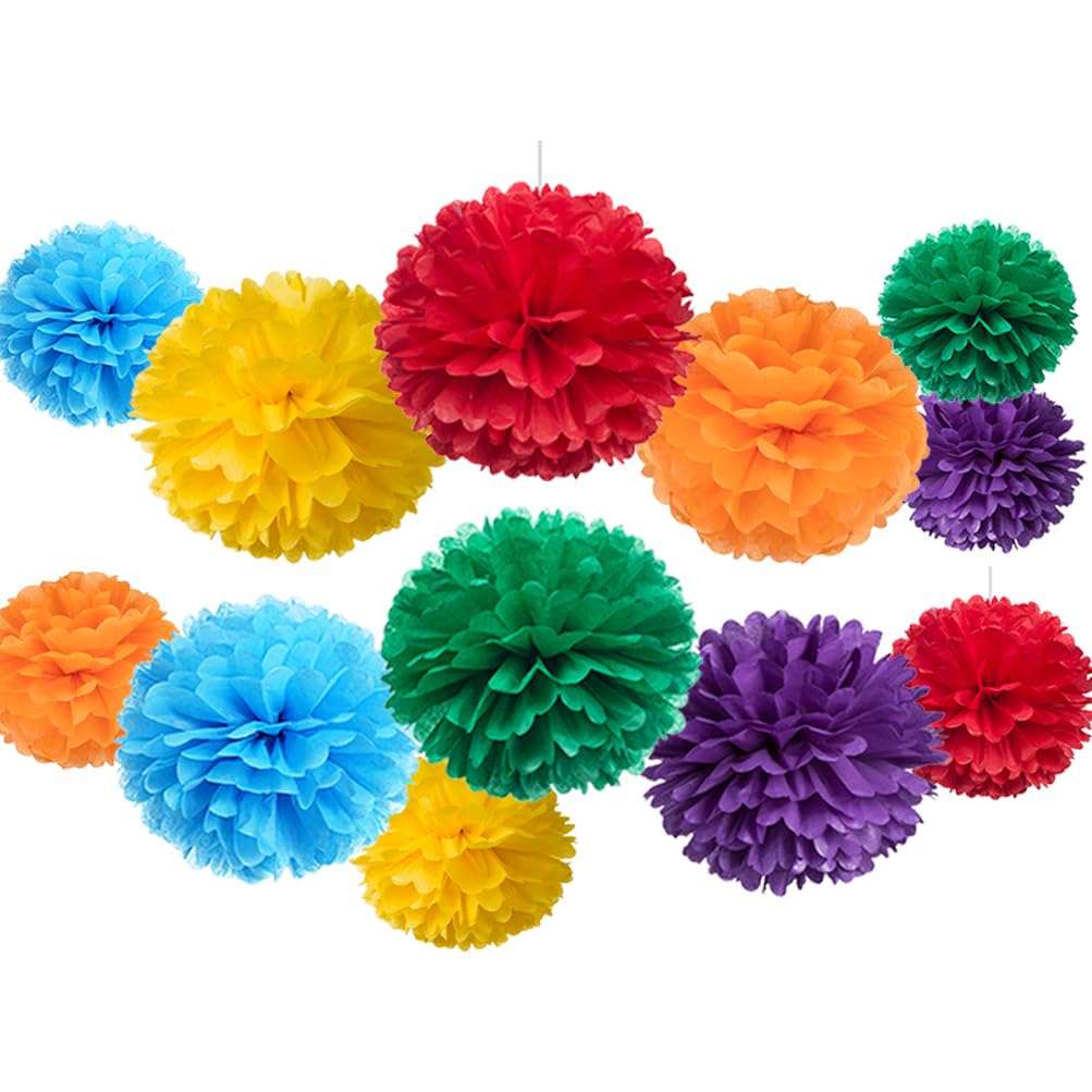 Rainbow Paper Flower Tissue Pom Poms for Birthday Graduation Wedding Pride Theme Party, Red Orange Yellow Green Blue and Pruple, 12pc