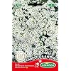 Germisem EC1501 Carpet of Snow Alyssum Bloemzaden 0.5 g