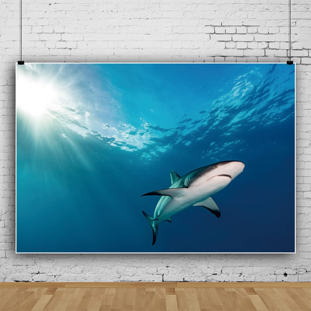 Yeele 12x6ft Underwater World Backdrop Under The Sea Colorful Fish Coral Marine Life Background Large Vinyl Photography Backdrop Themed Party Decoration Kids Baby Portrait Shooting Studio Props
