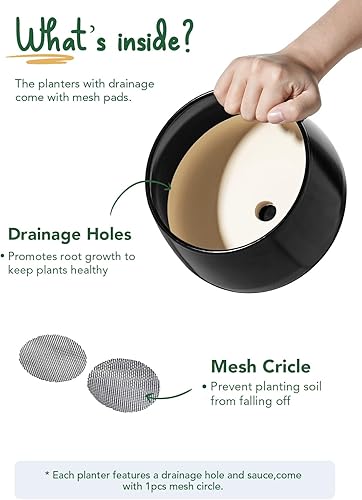 Miniatura 5 de LE TAUCI Macetas de 4.1 + 5.1 + 6.5 pulgadas, juego de 3, macetas de cerámica con orificio de drenaje y platillo, maceta de interior con almohadilla