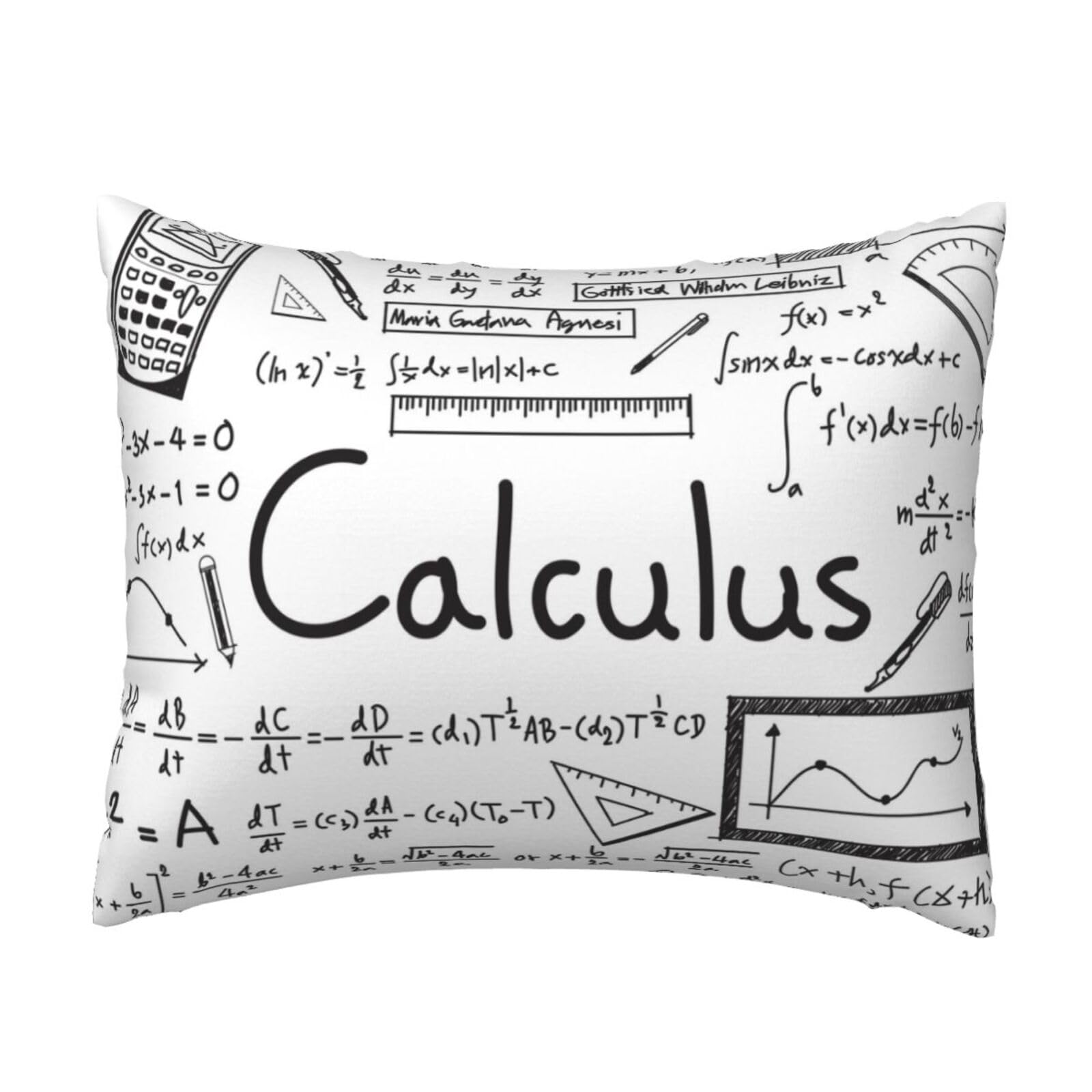 YFSGDLBN Math Geometry Geek Calculus printed Pillow Case 20x26in decorative Cushion Cover pillowcase
