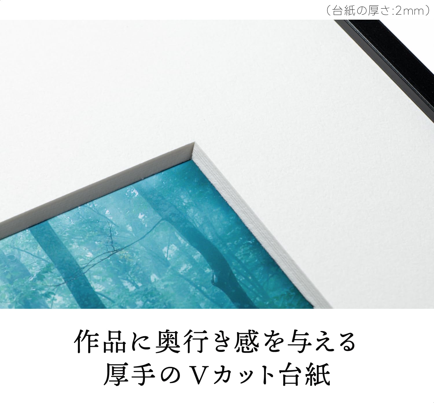 Amazon | 【Amazon.co.jp 限定】 ケンコー(Kenko) 額縁 ギャラリー 2L