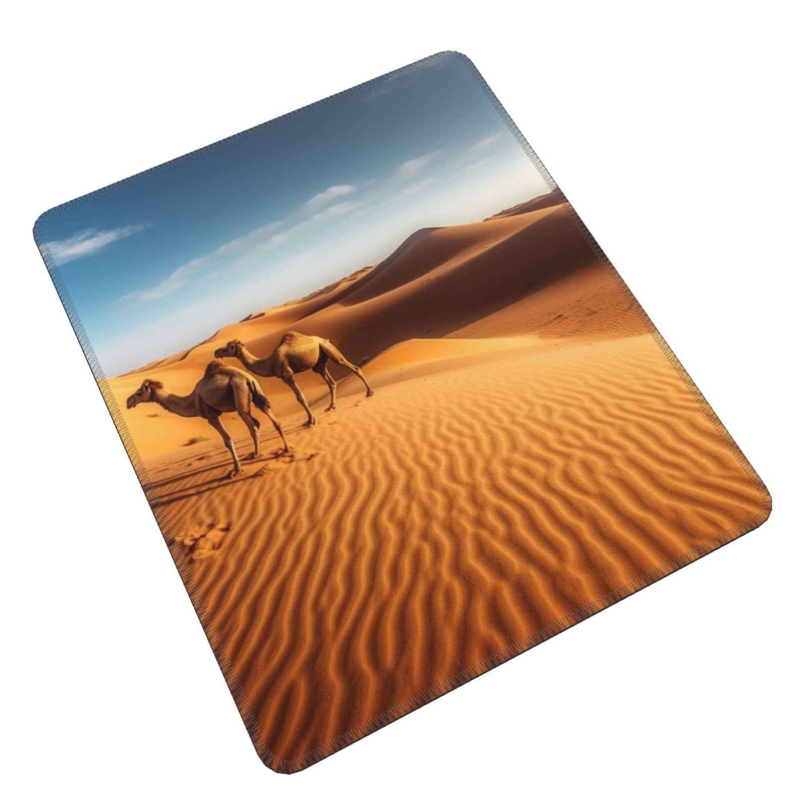 Sahara Desert Along Side The Atlantic Ocean Africa, Morocco Stock Photo - View #4